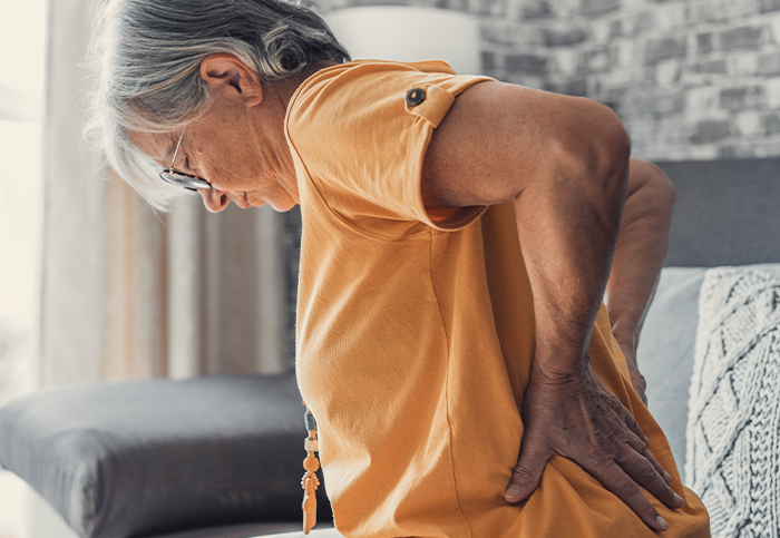 Bone up on osteoporosis! Here is what you need to know about bone remodelling