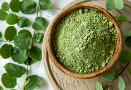 The Nutritional Power of Moringa Oleifera